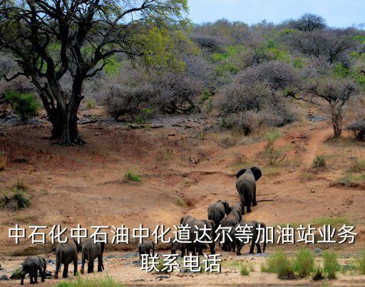 中石化廣州新塘水庫加油站電話，廣州中石油加油站
