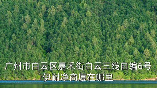 廣州市白云區(qū)嘉禾街白云三線自編6號(hào)伊耐凈商廈在哪里