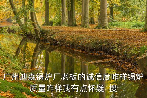 廣州迪森鍋爐廠老板的誠信度咋樣鍋爐質量咋樣我有點懷疑  搜
