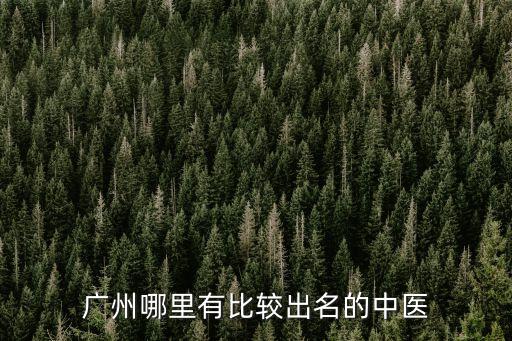 廣州哪里有比較出名的中醫(yī)
