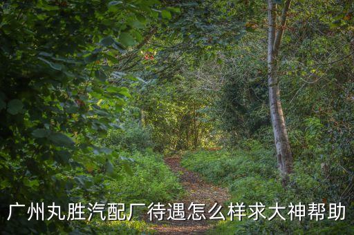 廣州丸勝汽配廠待遇怎么樣求大神幫助