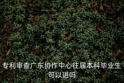 專利審查廣東協(xié)作中心往屆本科畢業(yè)生可以進(jìn)嗎
