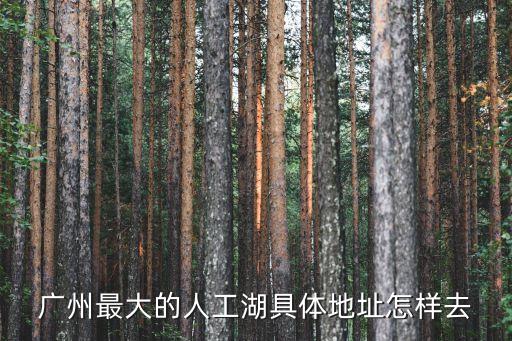 廣州最大的人工湖具體地址怎樣去