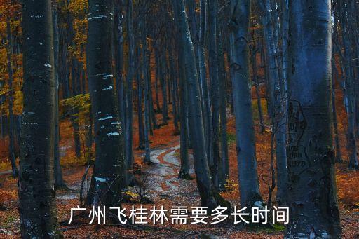 廣州到桂林坐飛機幾個小時到，廣州飛桂林要多少時間