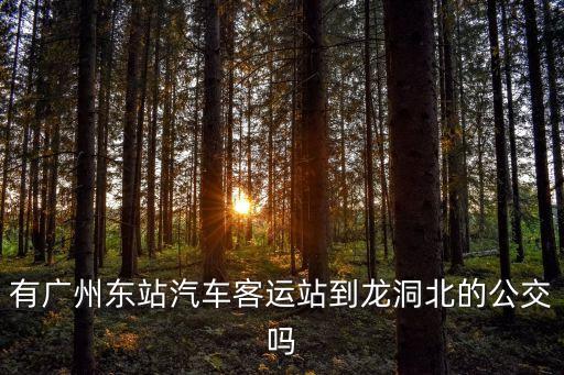 有廣州東站汽車客運站到龍洞北的公交嗎