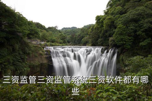 三資監管三資監管系統三資軟件都有哪些