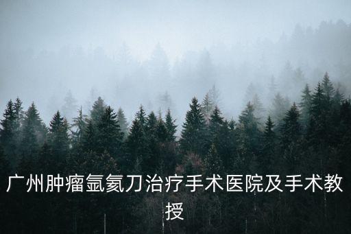 廣州腫瘤氬氦刀治療手術(shù)醫(yī)院及手術(shù)教授