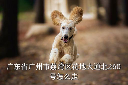 廣州紅棉苑是哪個街道，廣州市荔灣區芳村紅棉苑26棟屬于荔灣區什么街什么社區管轄