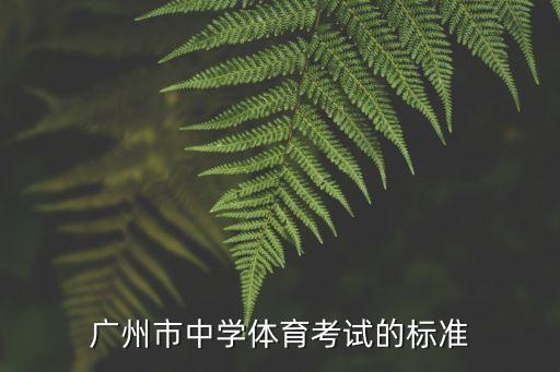 廣州中考體育長(zhǎng)跑可以考多少次，2010廣州中考體育