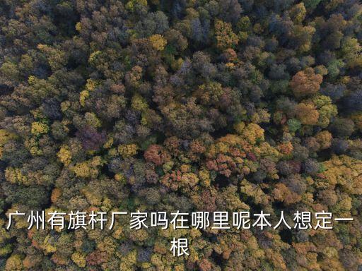 廣州有旗桿廠家嗎在哪里呢本人想定一根