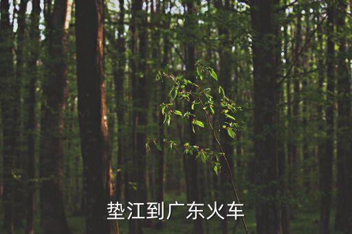 墊江到廣東火車(chē)