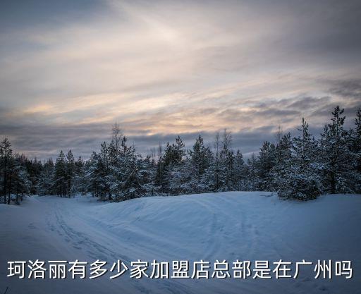 珂洛麗有多少家加盟店總部是在廣州嗎