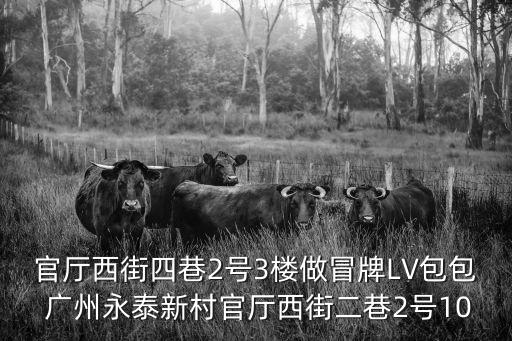 官廳西街四巷2號3樓做冒牌LV包包 廣州永泰新村官廳西街二巷2號10
