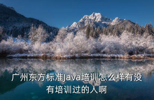 廣州熱點(diǎn)軟件公司怎么樣，廣州東方標(biāo)準(zhǔn)Java培訓(xùn)怎么樣有沒(méi)有培訓(xùn)過(guò)的人啊