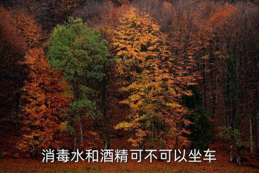 消毒水和酒精可不可以坐車