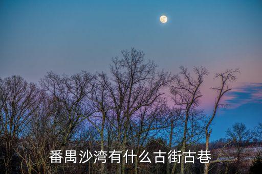 廣州番禺沙灣龍岐村岐頭巷，在番禺沙灣鎮(zhèn)岐頭村怎樣坐車去廣州市鐘村鎮(zhèn)的三雄極光站