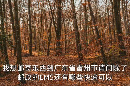 我想郵寄東西到廣東省雷州市請問除了郵政的EMS還有哪些快遞可以