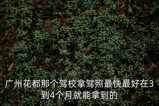 廣州市花都區獅嶺鎮合成興華駕校，廣州花都區獅嶺鎮有駕校嗎