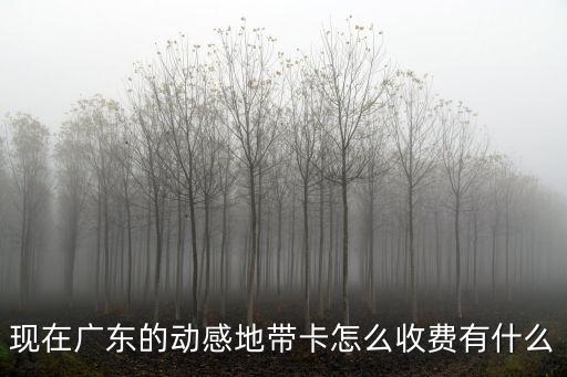 現在廣東的動感地帶卡怎么收費有什么