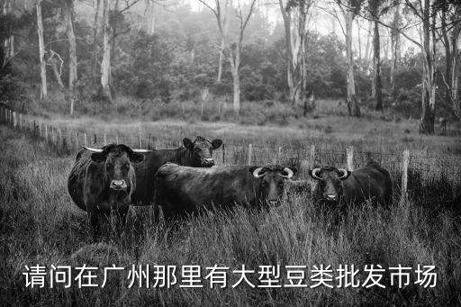 請問在廣州那里有大型豆類批發(fā)市場