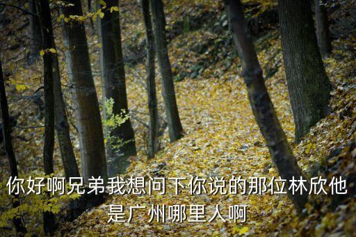 廣州八里鋪老板娘，你好啊兄弟我想問下你說的那位林欣他是廣州哪里人啊