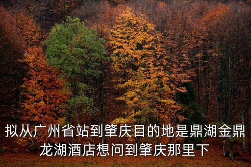 擬從廣州省站到肇慶目的地是鼎湖金鼎龍湖酒店想問到肇慶那里下