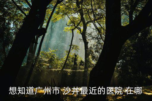 想知道廣州市 沙井最近的醫院 在哪