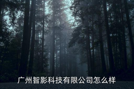 廣州智影科技有限公司怎么樣