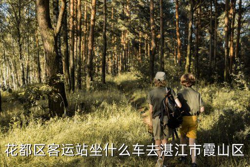 廣州花都客運站到湛江霞山的汽車，廣州花都坐車到湛江市霞山區