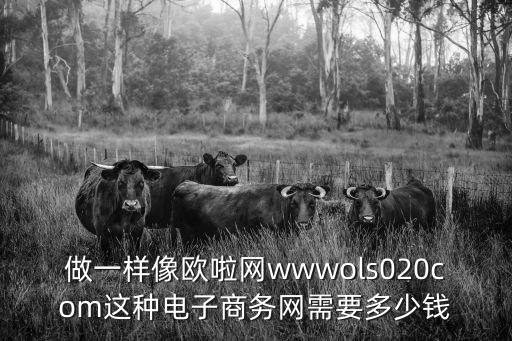 廣州佳佰歐電子商務(wù)有限公司規(guī)模，做一樣像歐啦網(wǎng)wwwols020com這種電子商務(wù)網(wǎng)需要多少錢
