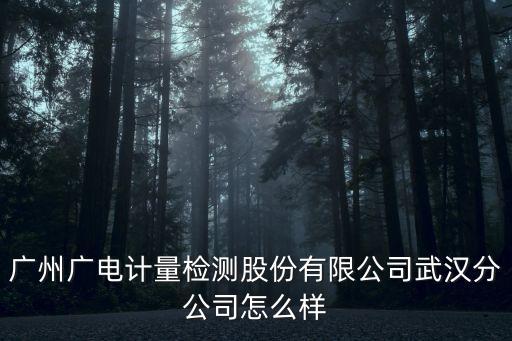 廣州廣電計量檢測股票代碼，股票代碼sz002422中sz是什么意思