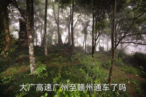 廣州江西高速公路最新通知，關(guān)于大廣高速請問你確定江西武寧段到通山洪港段春節(jié)前可以通車嗎