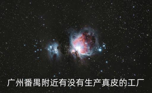 廣州番禺附近有沒有生產真皮的工廠