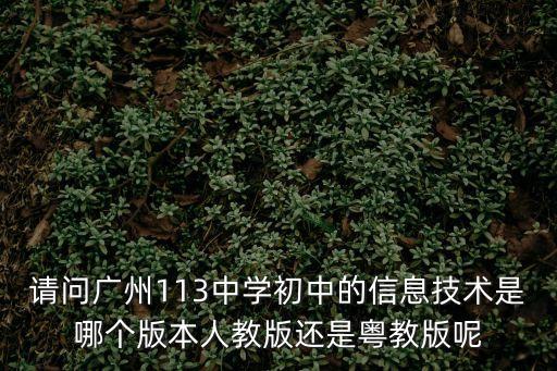 請問廣州113中學初中的信息技術是哪個版本人教版還是粵教版呢