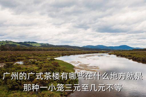 廣州的廣式茶樓有哪些在什么地方就是那種一小籠三元至幾元不等
