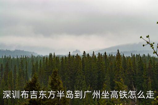 深訓布吉東方半島到廣州坐高鐵怎么走