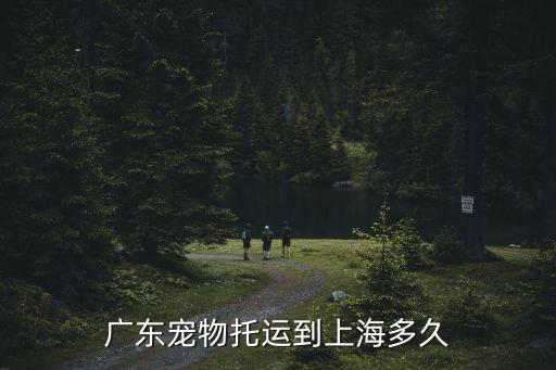 廣州虹橋寵物店，廣東寵物托運到上海多久