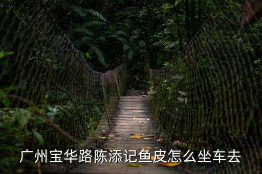 廣州市西關區(qū)陳添記，廣州寶華路陳添記魚皮怎么坐車去