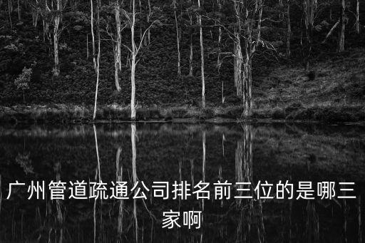 廣州水管維修團隊實力，廣州管道修復的公司做得比較好的有推薦的嗎