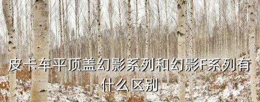 皮卡車平頂蓋幻影系列和幻影F系列有什么區(qū)別