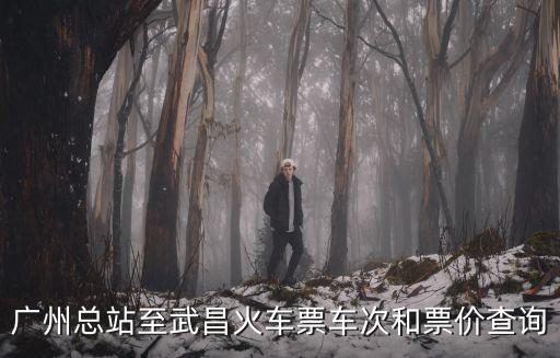 廣州站至武昌火車余票查詢，廣州至武昌的火車票多少