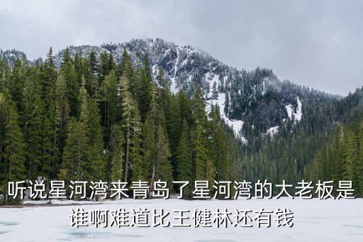 聽說星河灣來青島了星河灣的大老板是誰啊難道比王健林還有錢