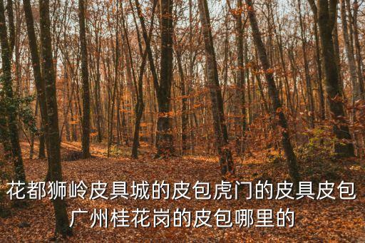 花都獅嶺皮具城的皮包虎門的皮具皮包廣州桂花崗的皮包哪里的
