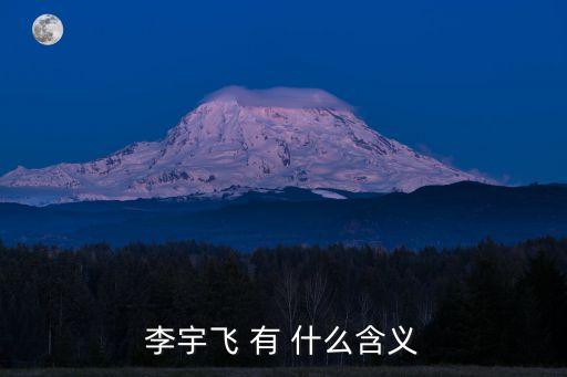 李宇飛 有 什么含義