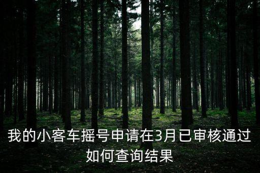 廣州小客車搖號怎么查詢結果，搖號申請成功之后怎么查詢是不是搖號成功了
