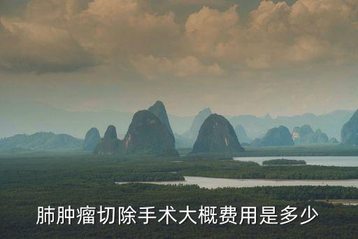 肺腫瘤切除手術大概費用是多少