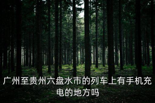 廣州至貴州六盤水市的列車上有手機(jī)充電的地方嗎