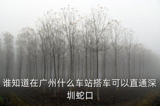 廣州祈福新村汽車站到蛇口，廣州到深圳蛇口