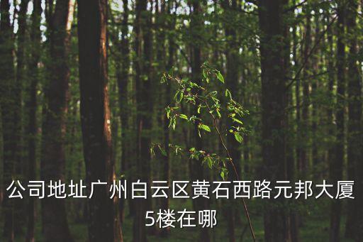 白云區廣州玉禾電子有限公司，廣州市白云區機場路1438號正陽大廈1008室現在是什么公司有誰知道