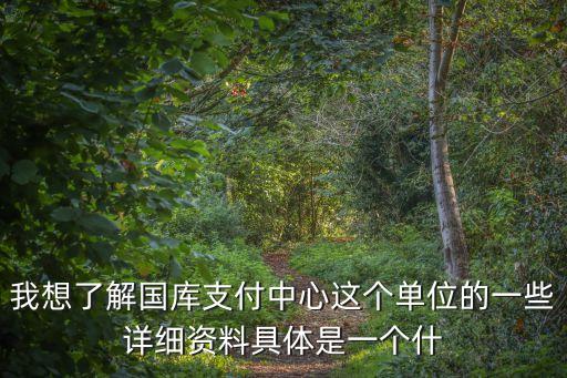 我想了解國庫支付中心這個單位的一些詳細資料具體是一個什